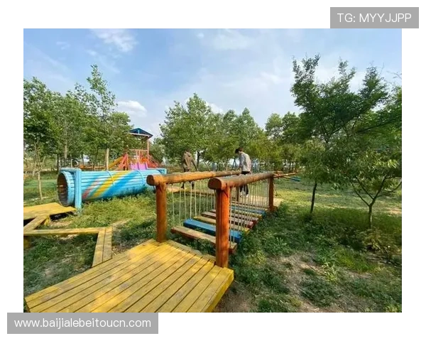 最新真人滚球官方地址查询,保障您的游戏安全与顺畅 最新真人滚球官方地址查询,保障您的游戏安全与顺畅